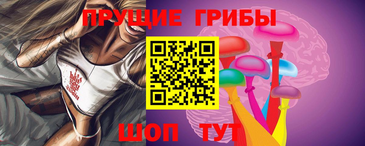 Галлюциногенные грибы Psilocybe Кубинка
