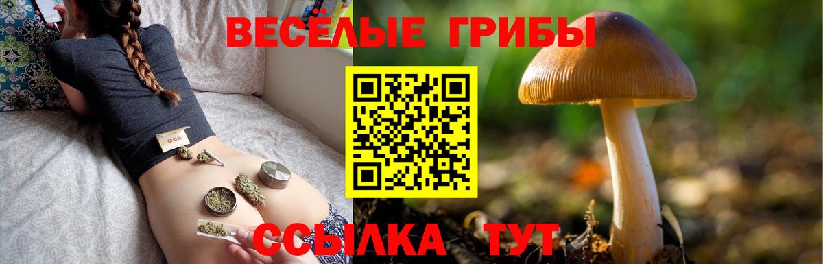 Кубинка  Псилоцибиновые грибы GOLDEN TEACHER  купить наркотик  Вход с VPN 